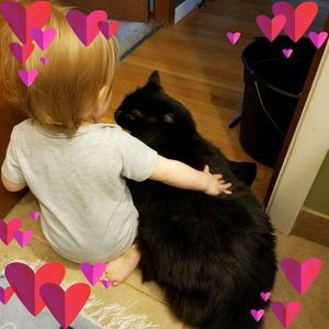 Meet your Posher, Kathi